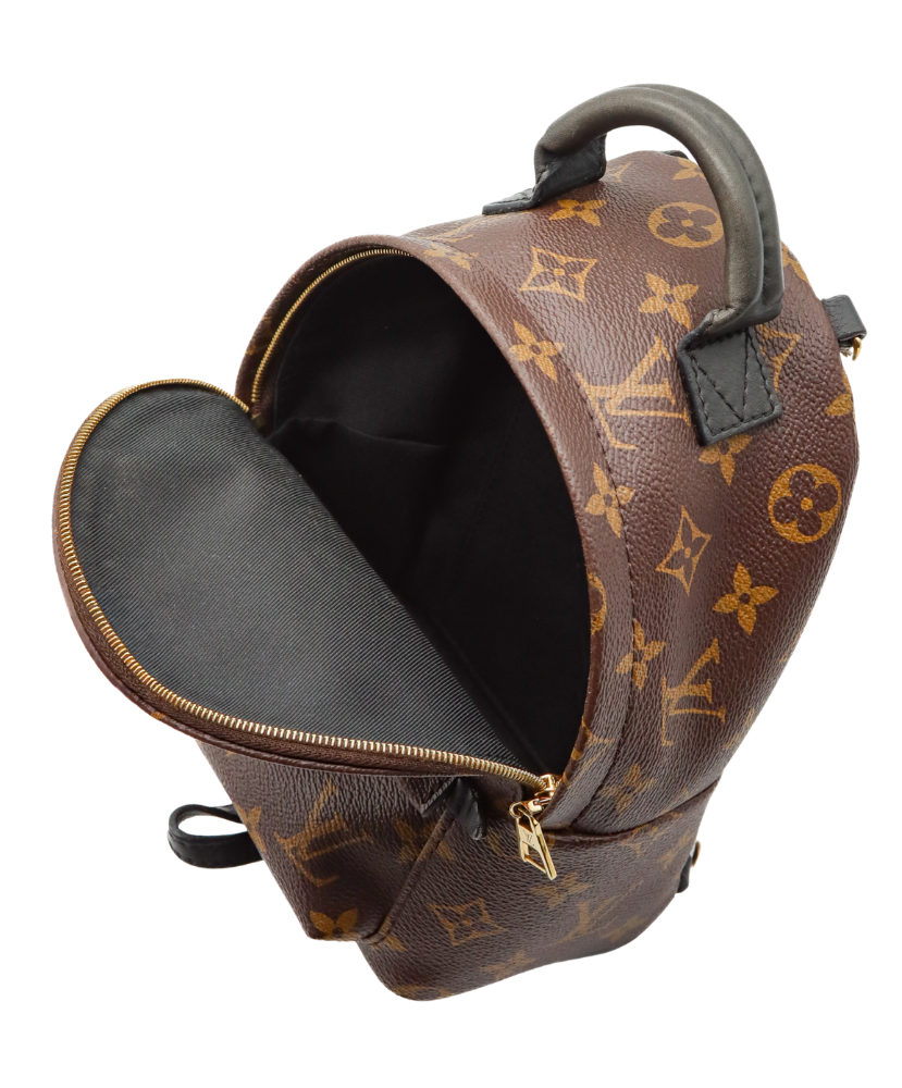Louis Vuitton - Mini Palm Springs Backpack – Coco Louie