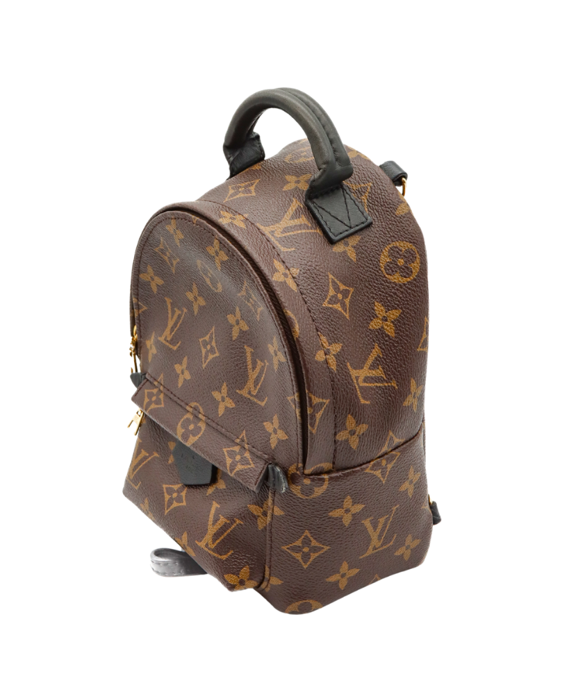 Brown Louis Vuitton backpack with monogram pattern on a white background